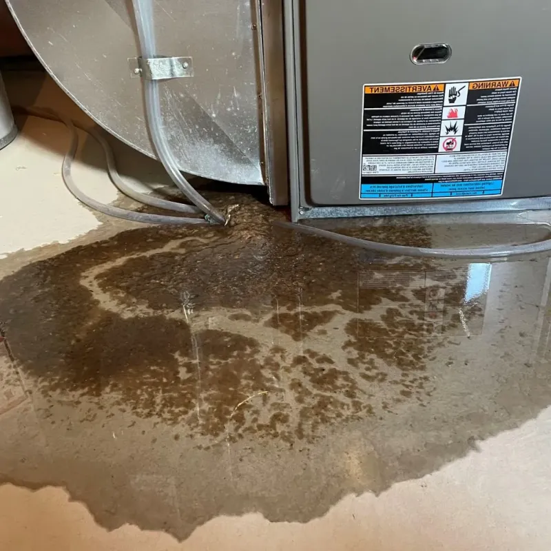 Pipe Burst and Leak Restoration in Ida Grove, IA